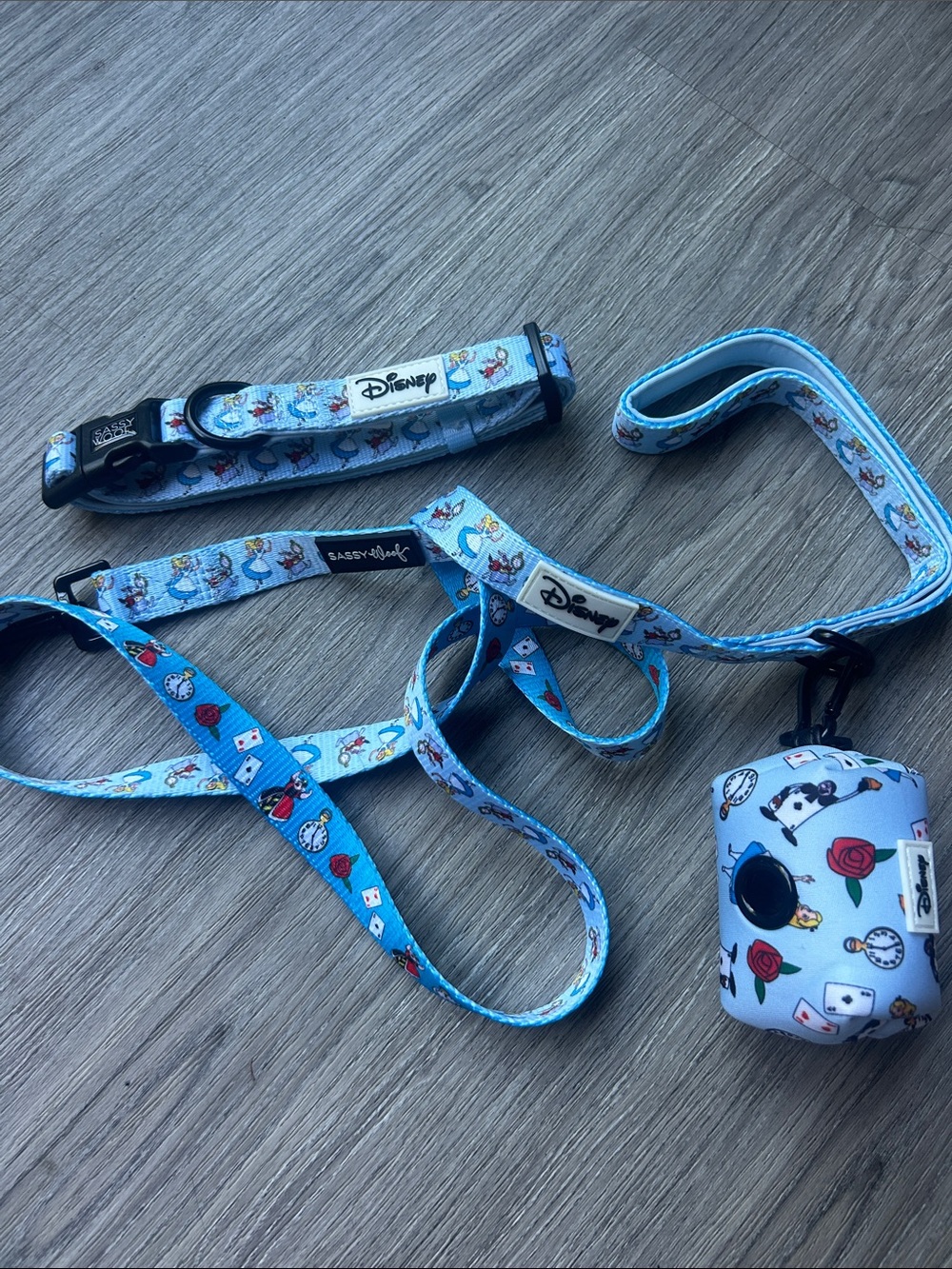 Disney x Sassy Woof Alice in Wonderland Blue Collar Leash 3 piece walk set